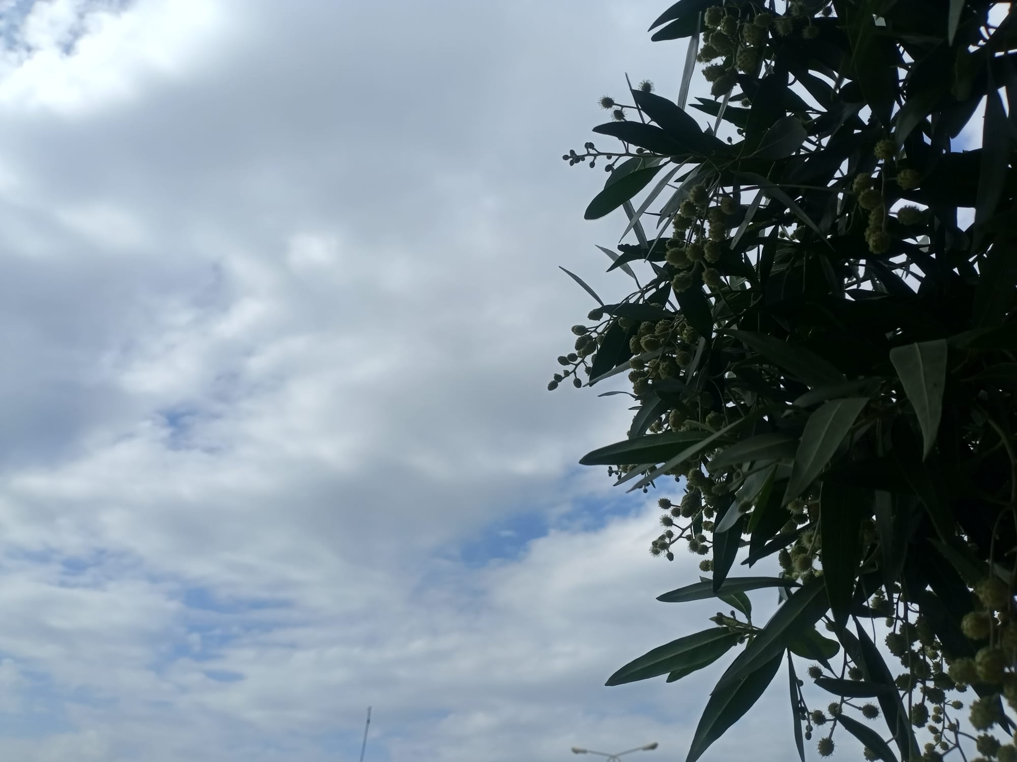 أرشيف محدث للصور