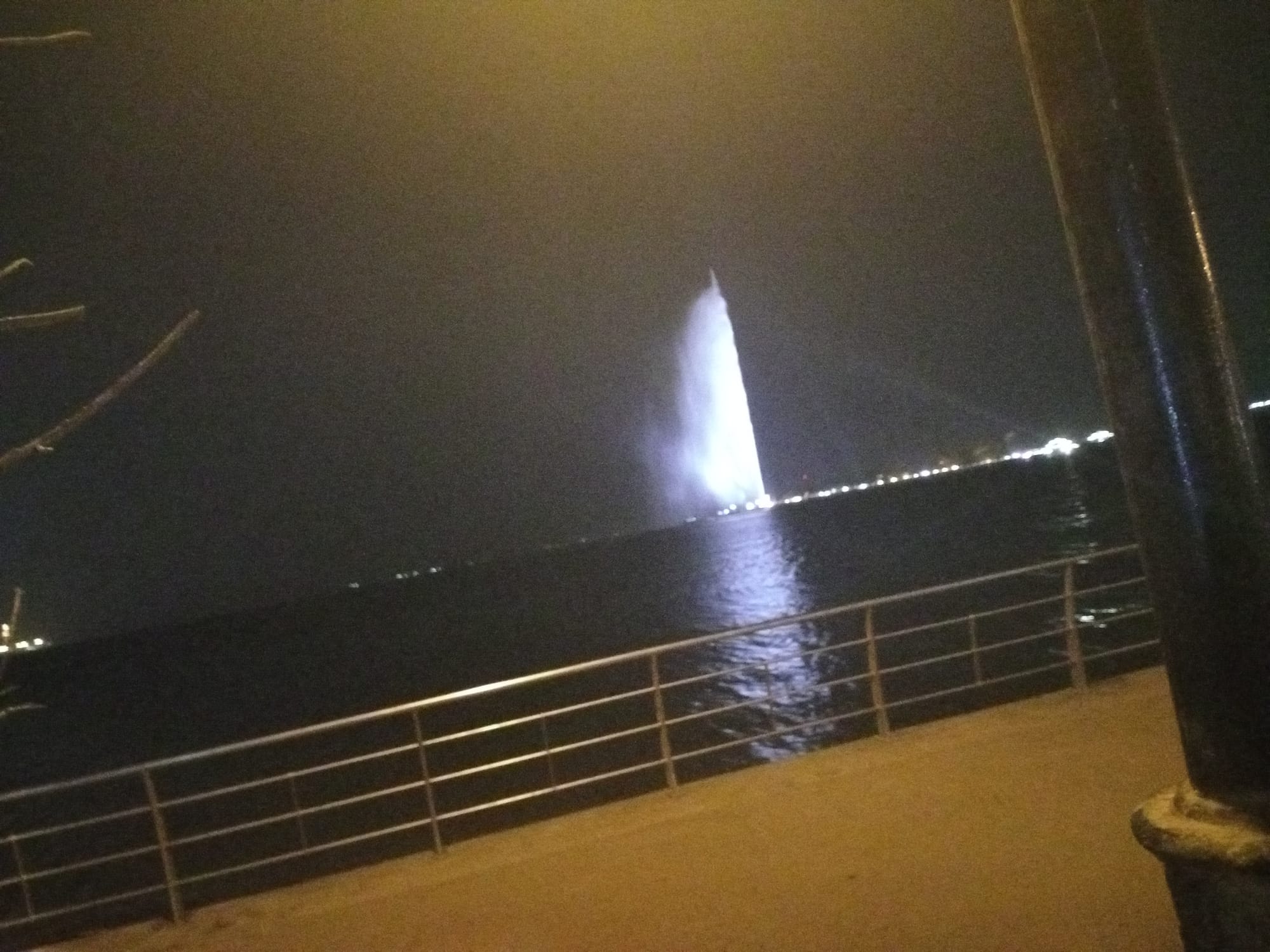 أرشيف محدث للصور