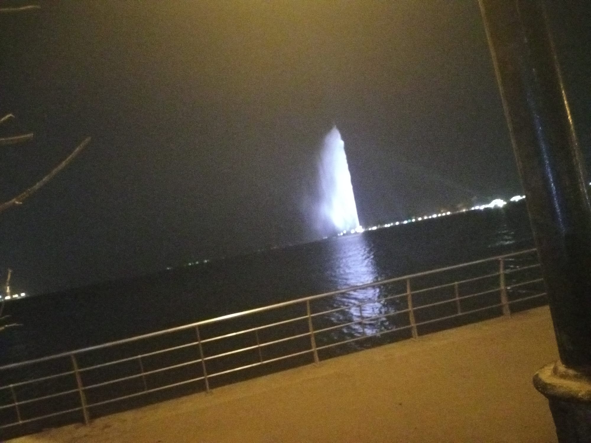 أرشيف محدث للصور