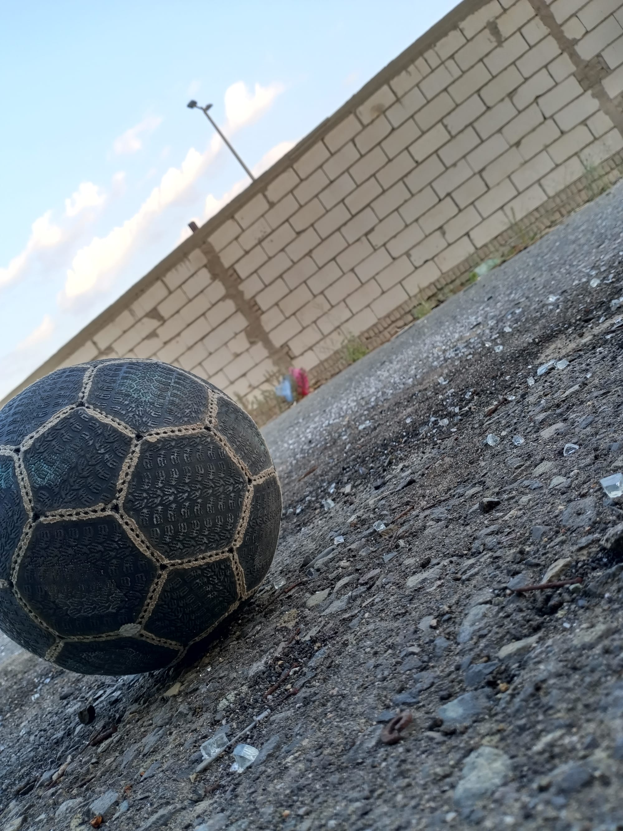 أرشيف محدث للصور