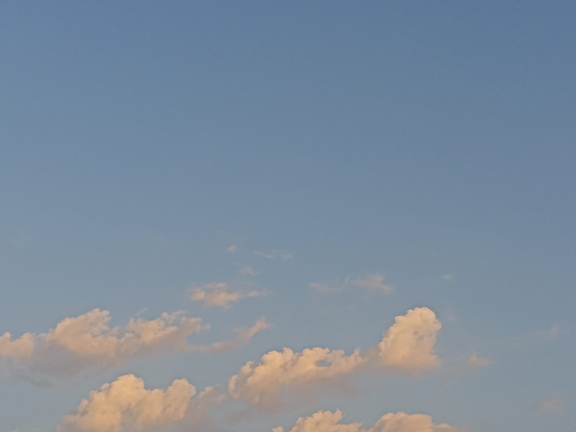 أرشيف محدث للصور