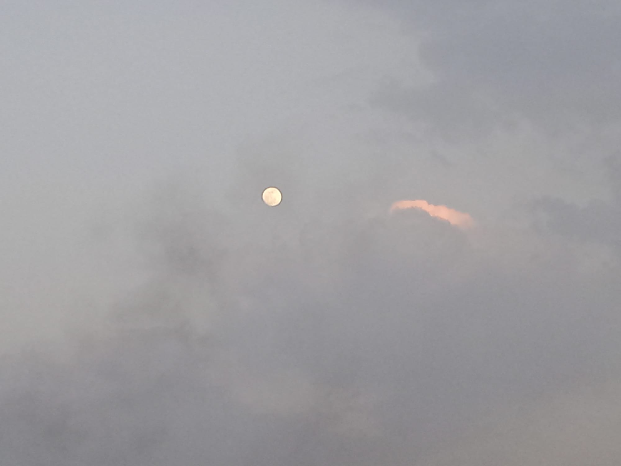 أرشيف محدث للصور