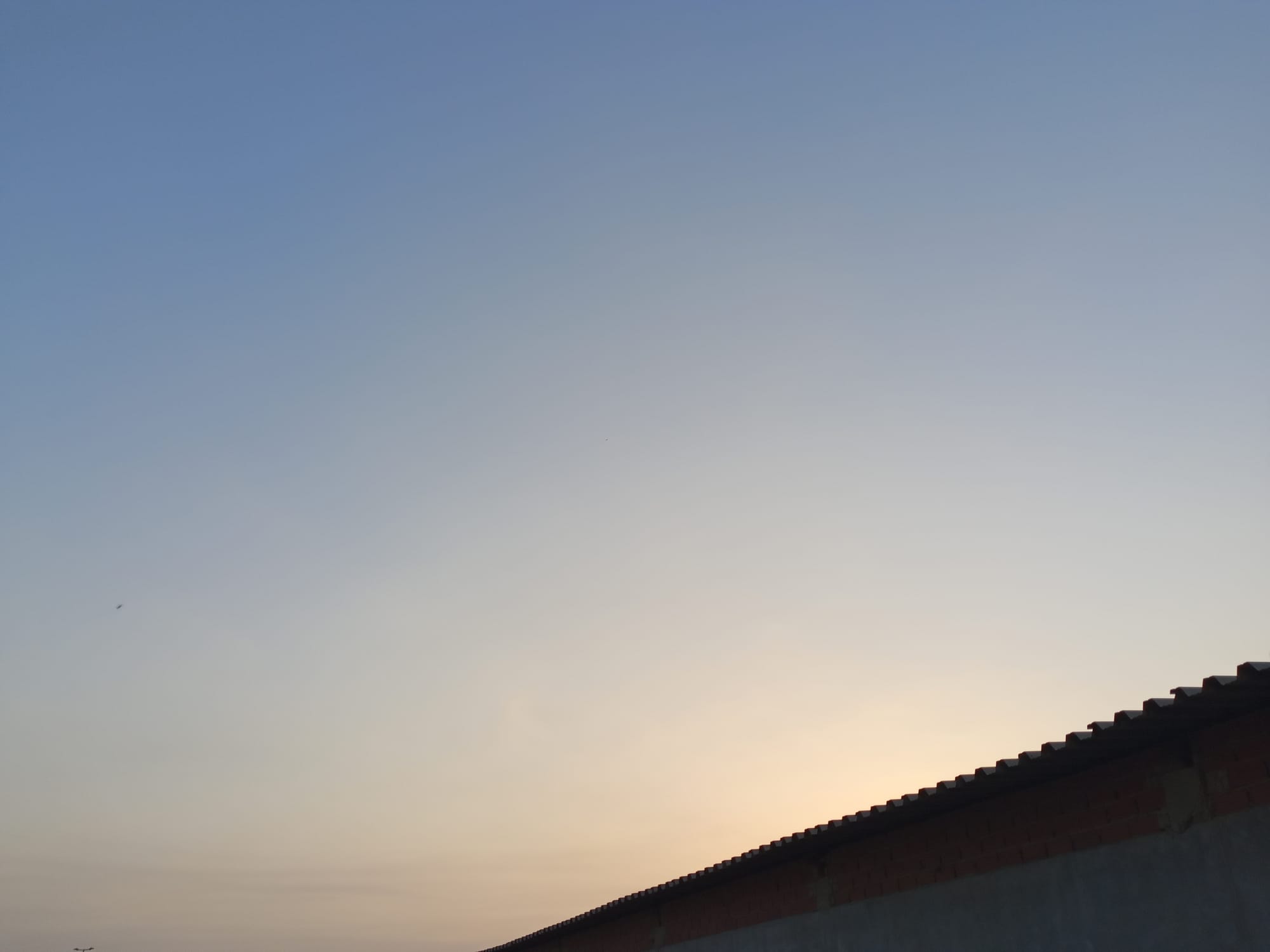 أرشيف محدث للصور
