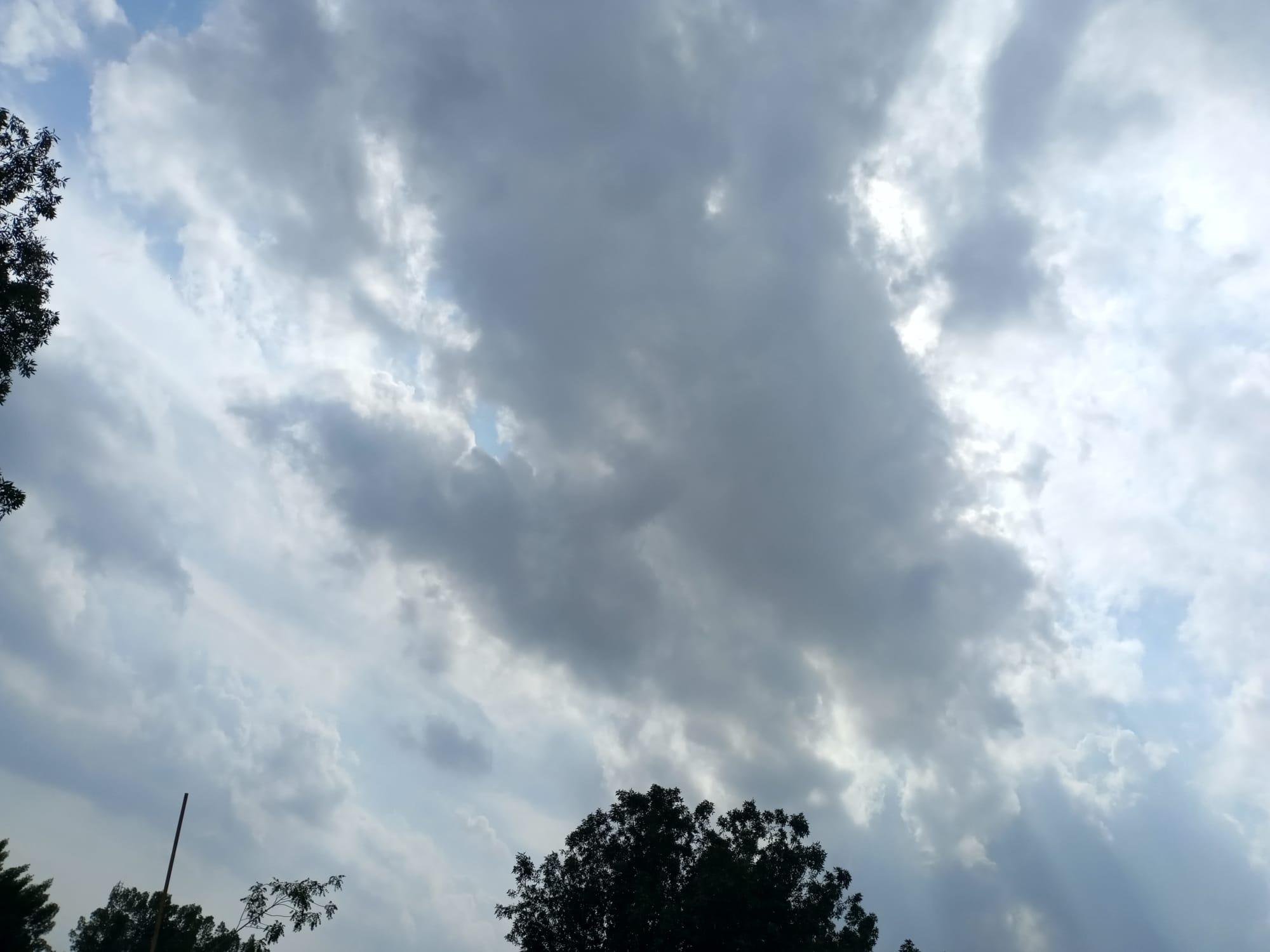 أرشيف محدث للصور