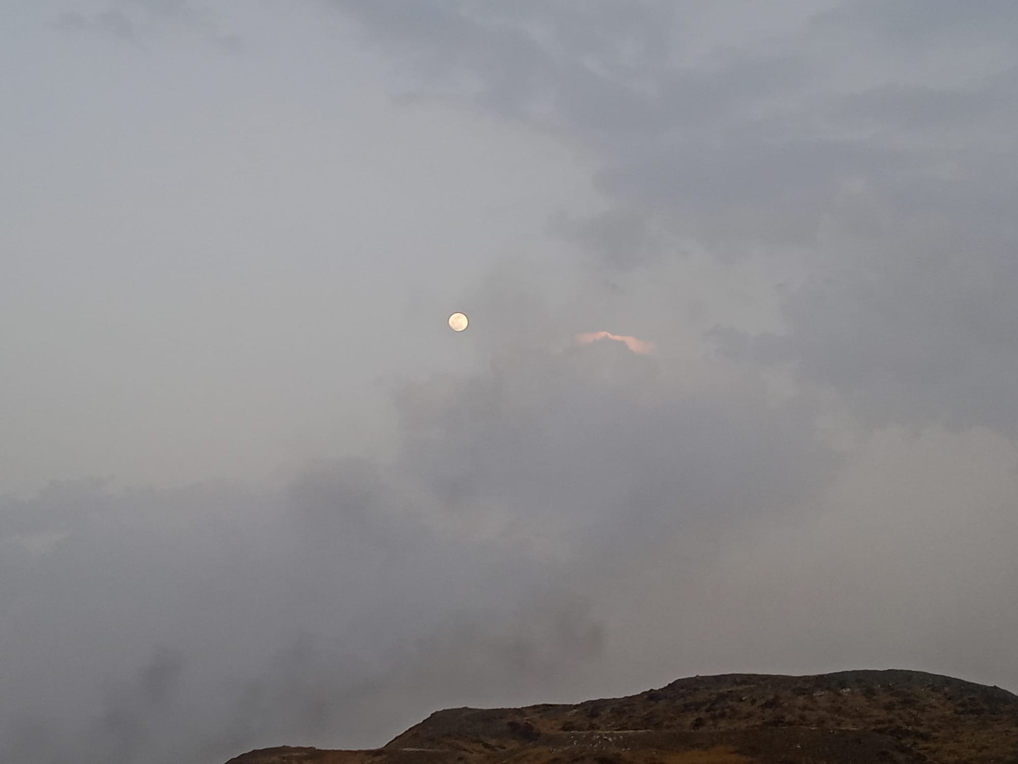 أرشيف محدث للصور