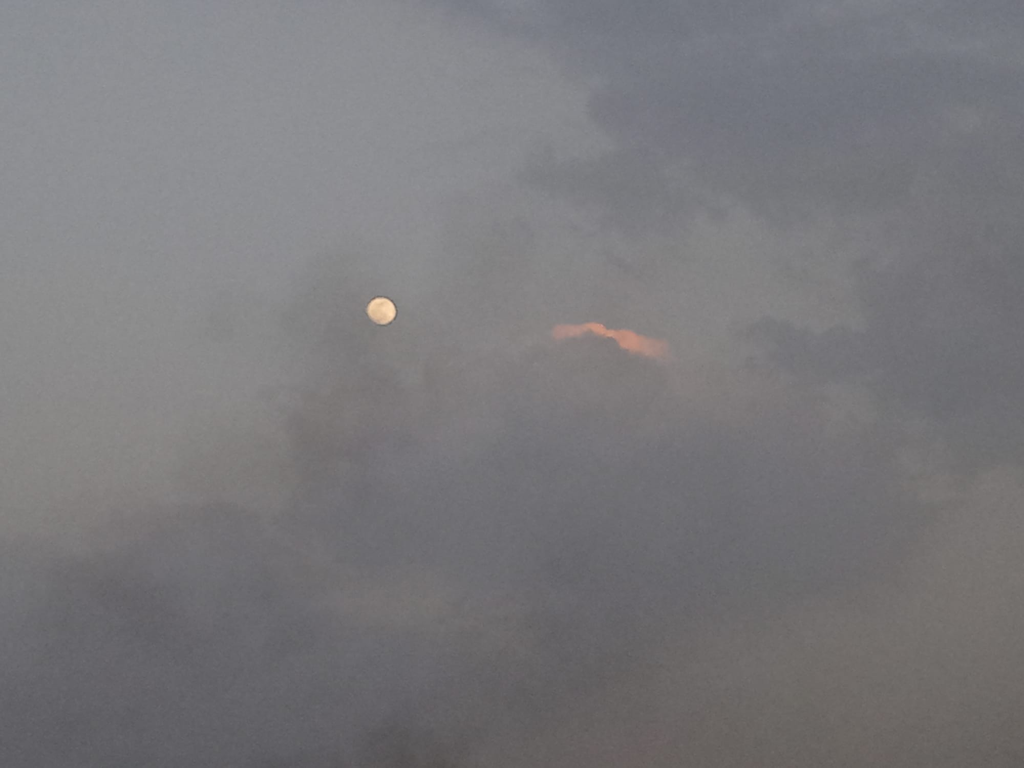 أرشيف محدث للصور