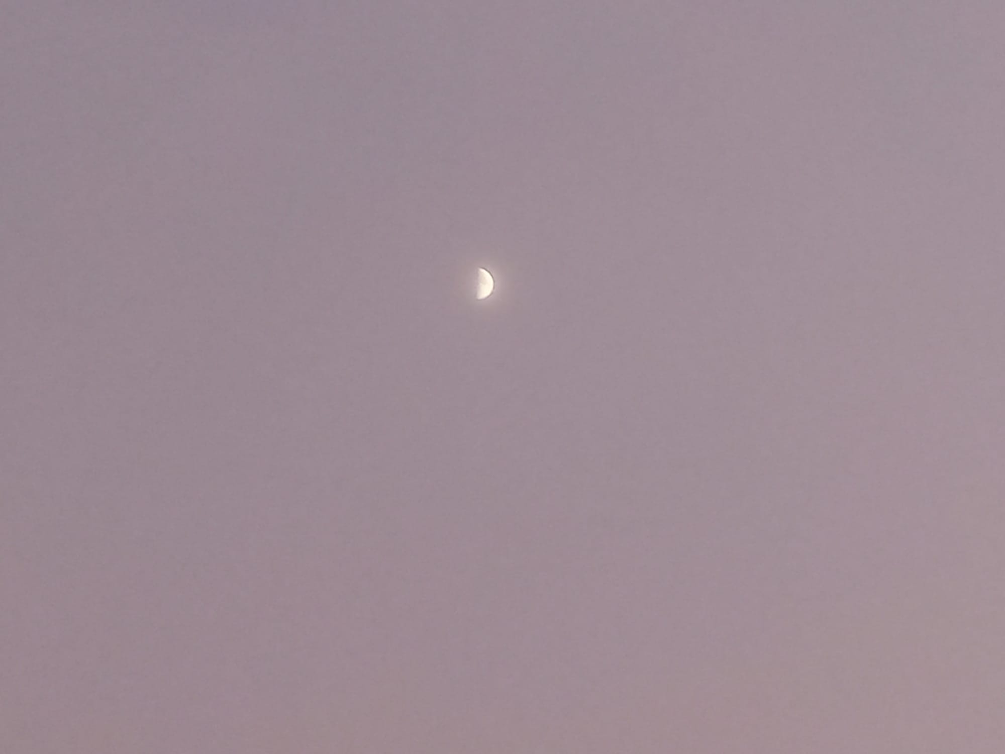 أرشيف محدث للصور