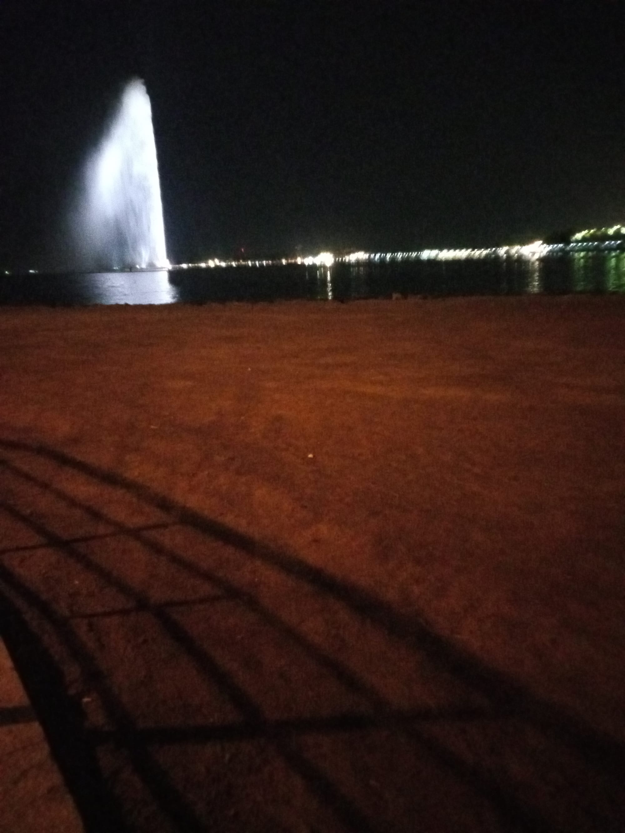 أرشيف محدث للصور
