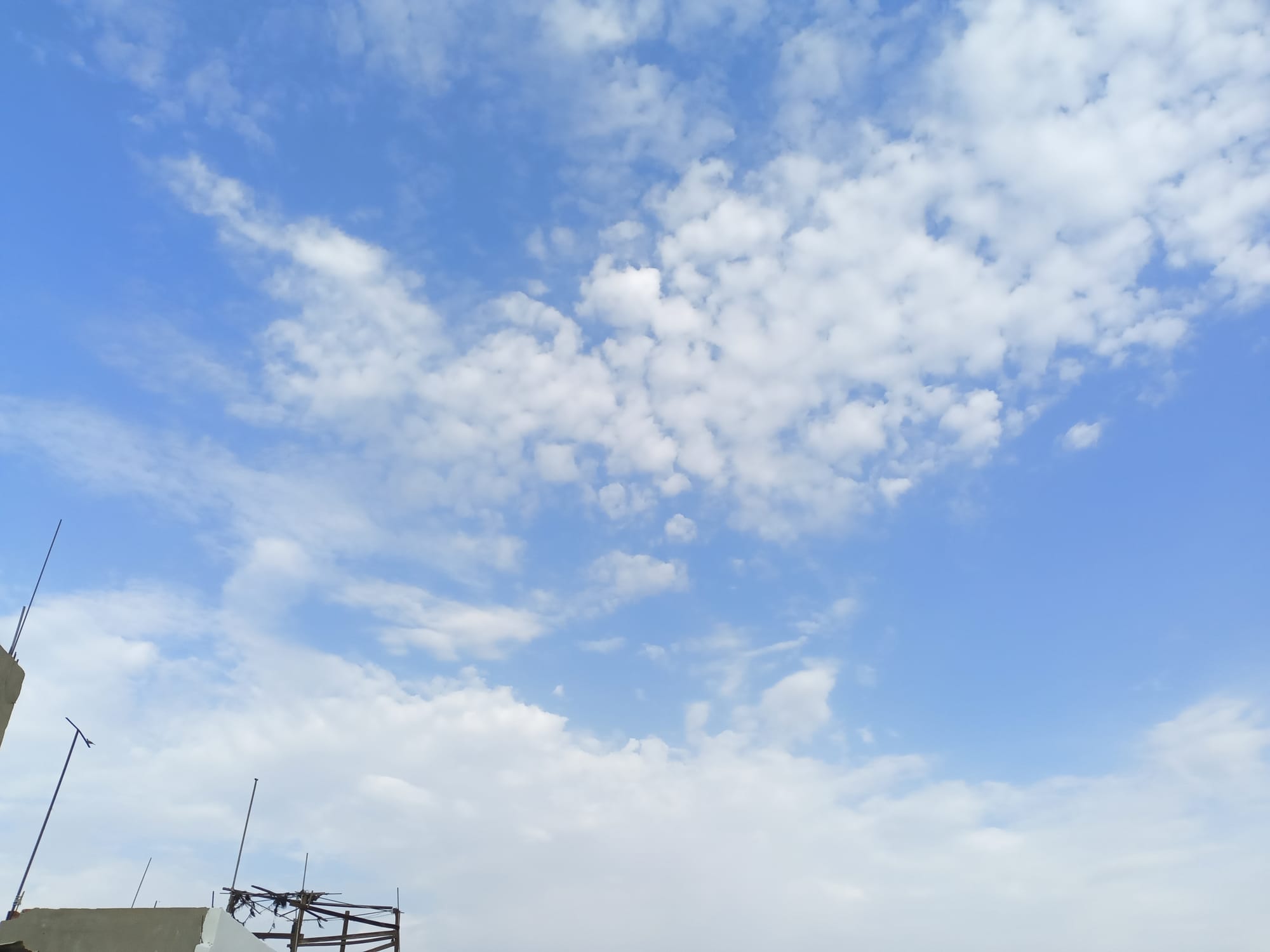 أرشيف محدث للصور
