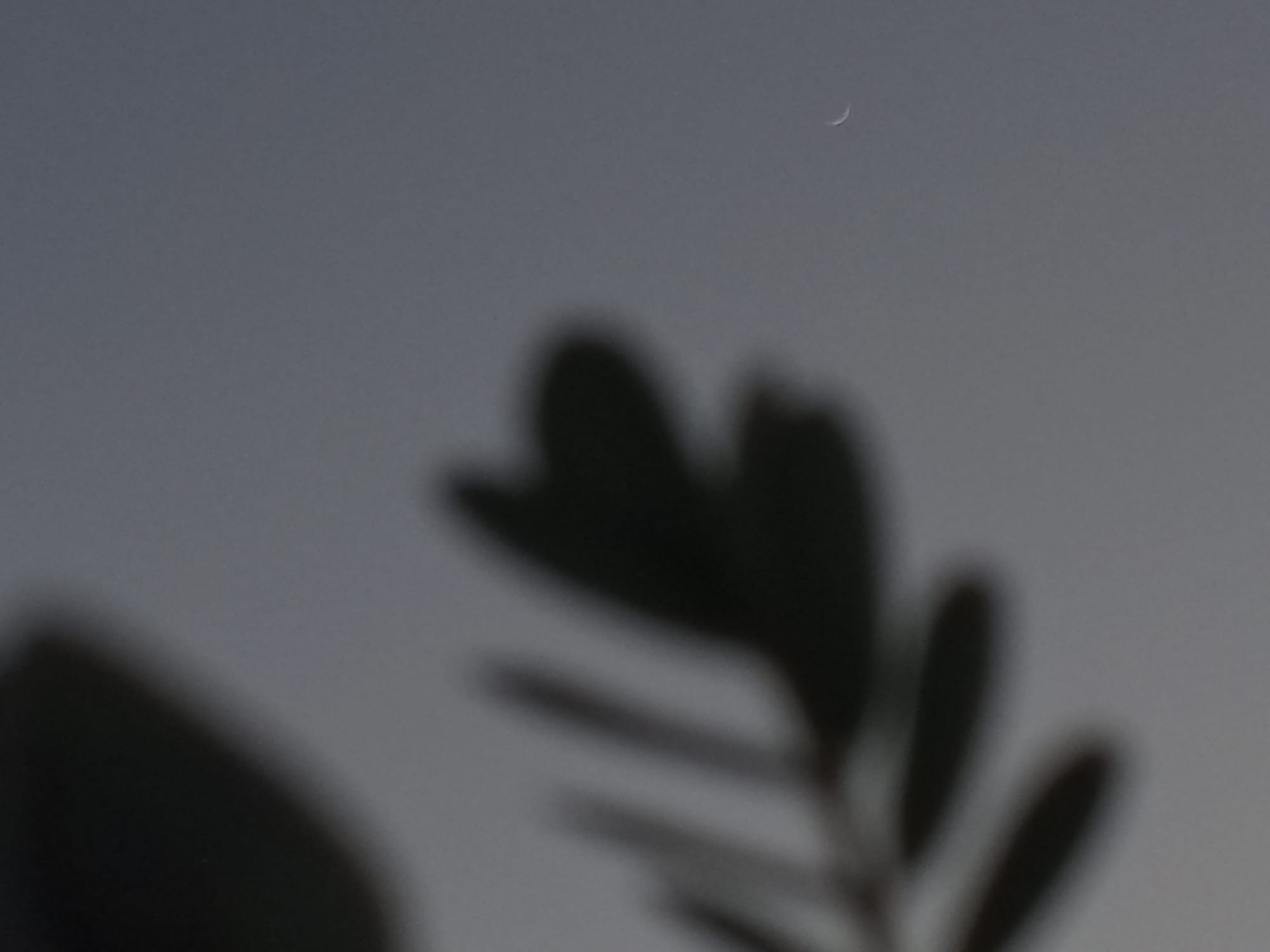 تصوير حديث