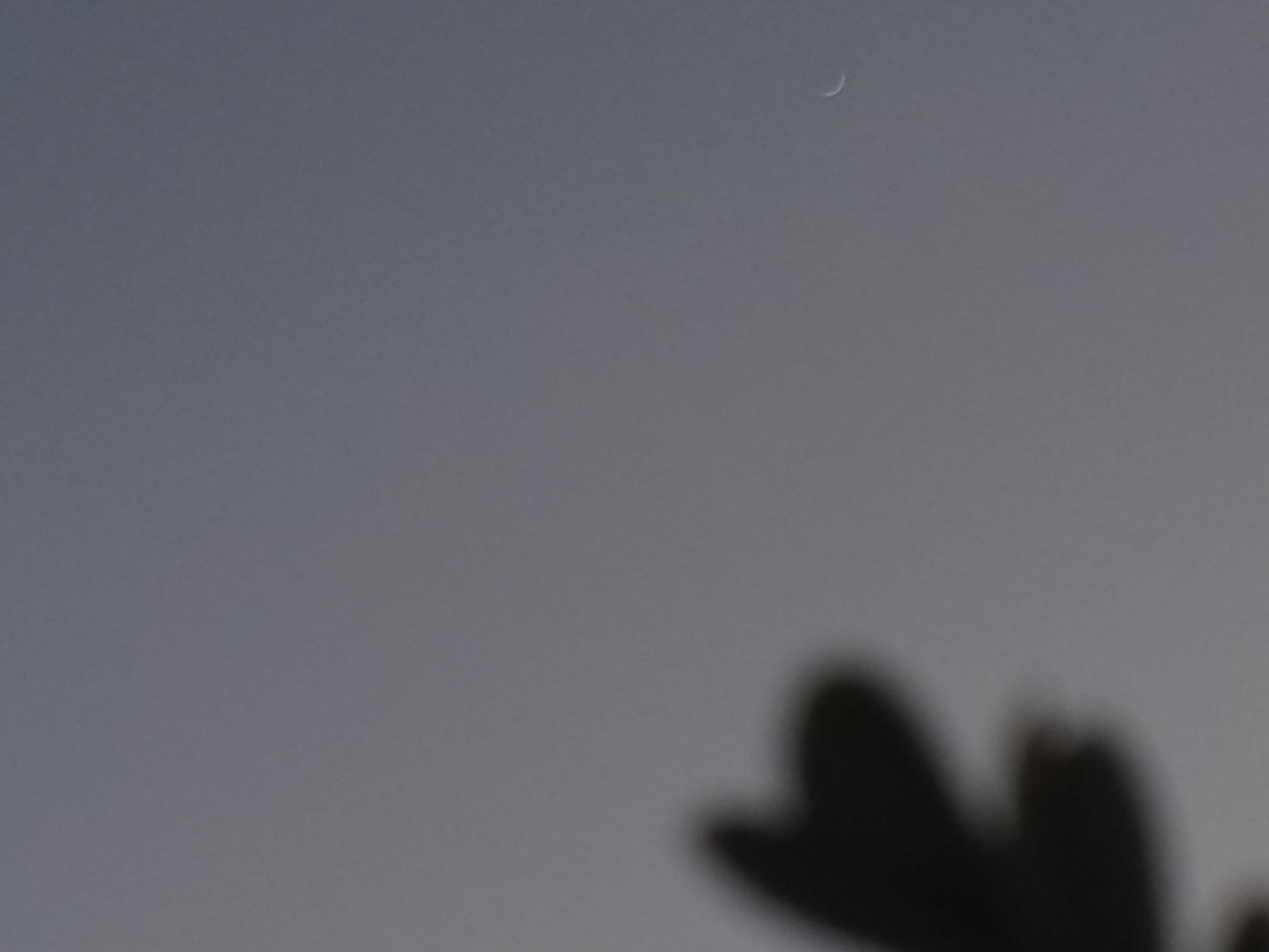 تصوير حديث