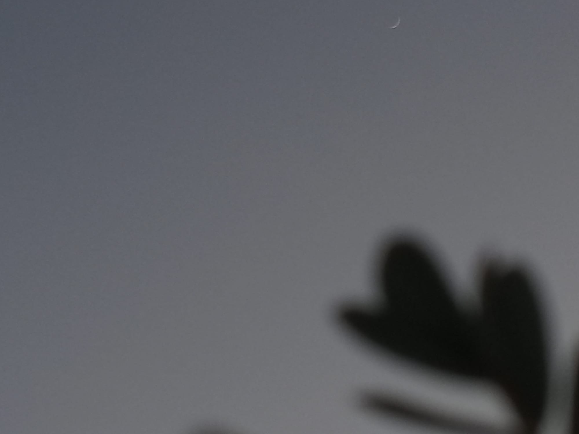 تصوير حديث