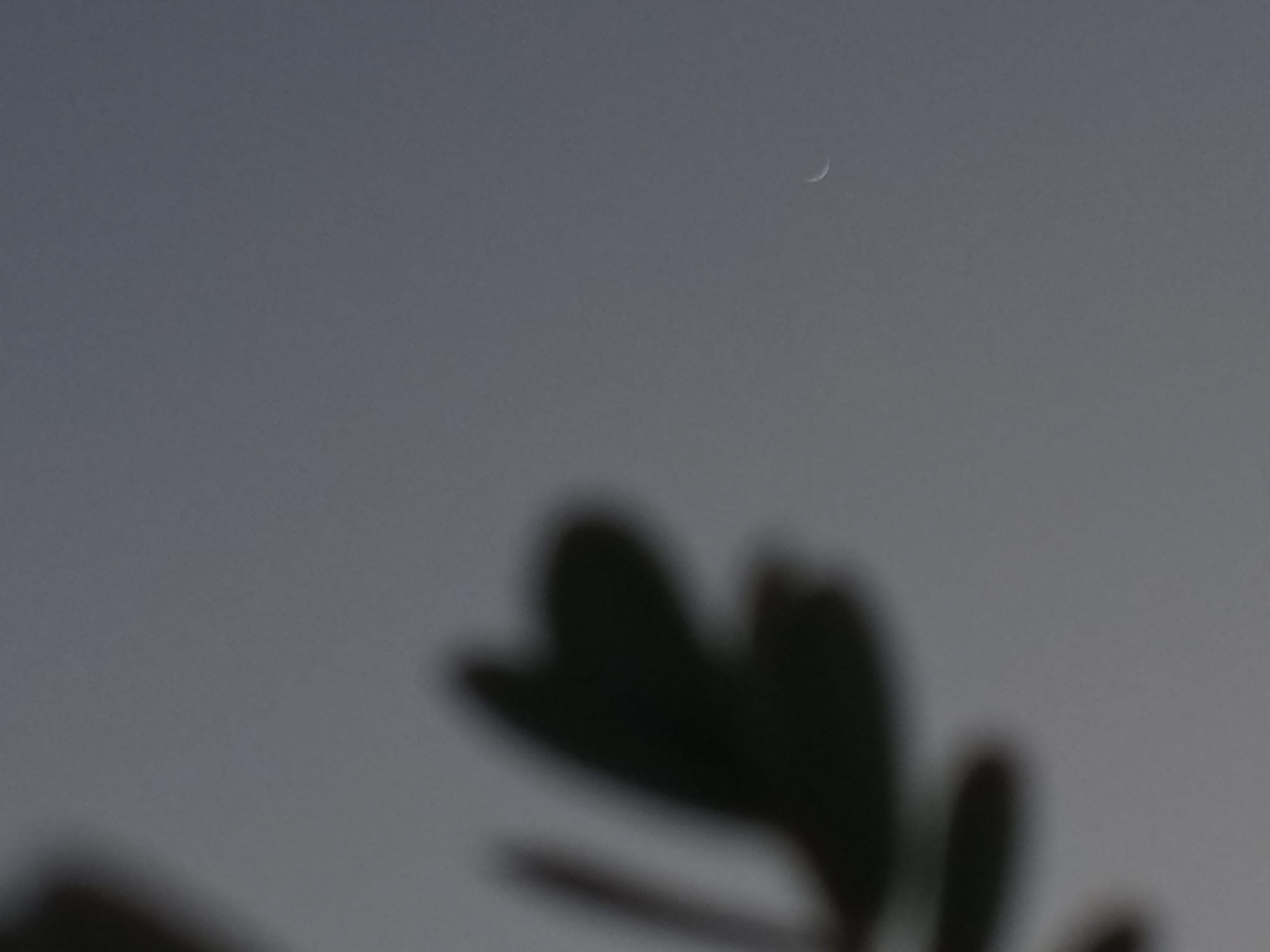 تصوير حديث