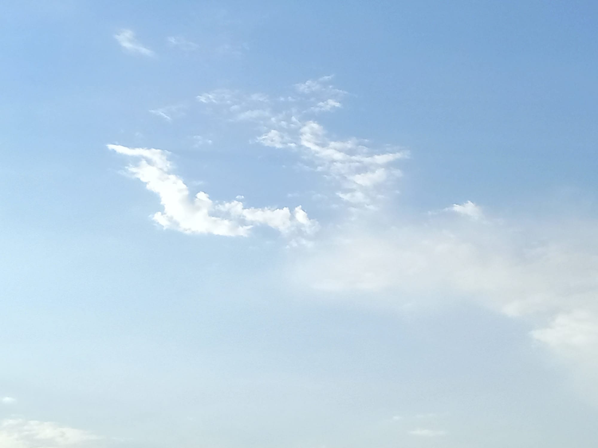 صور منتصف شهر أغسطس 2023