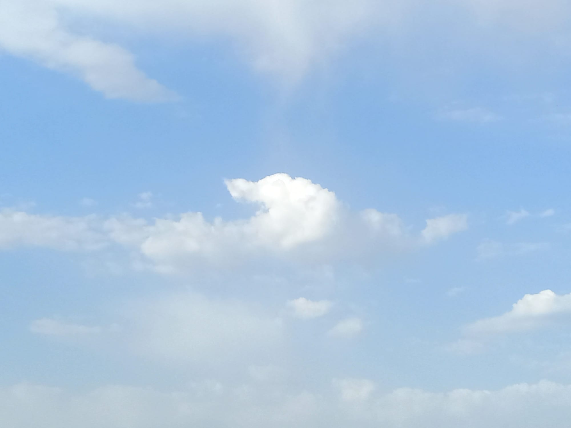 صور منتصف شهر أغسطس 2023