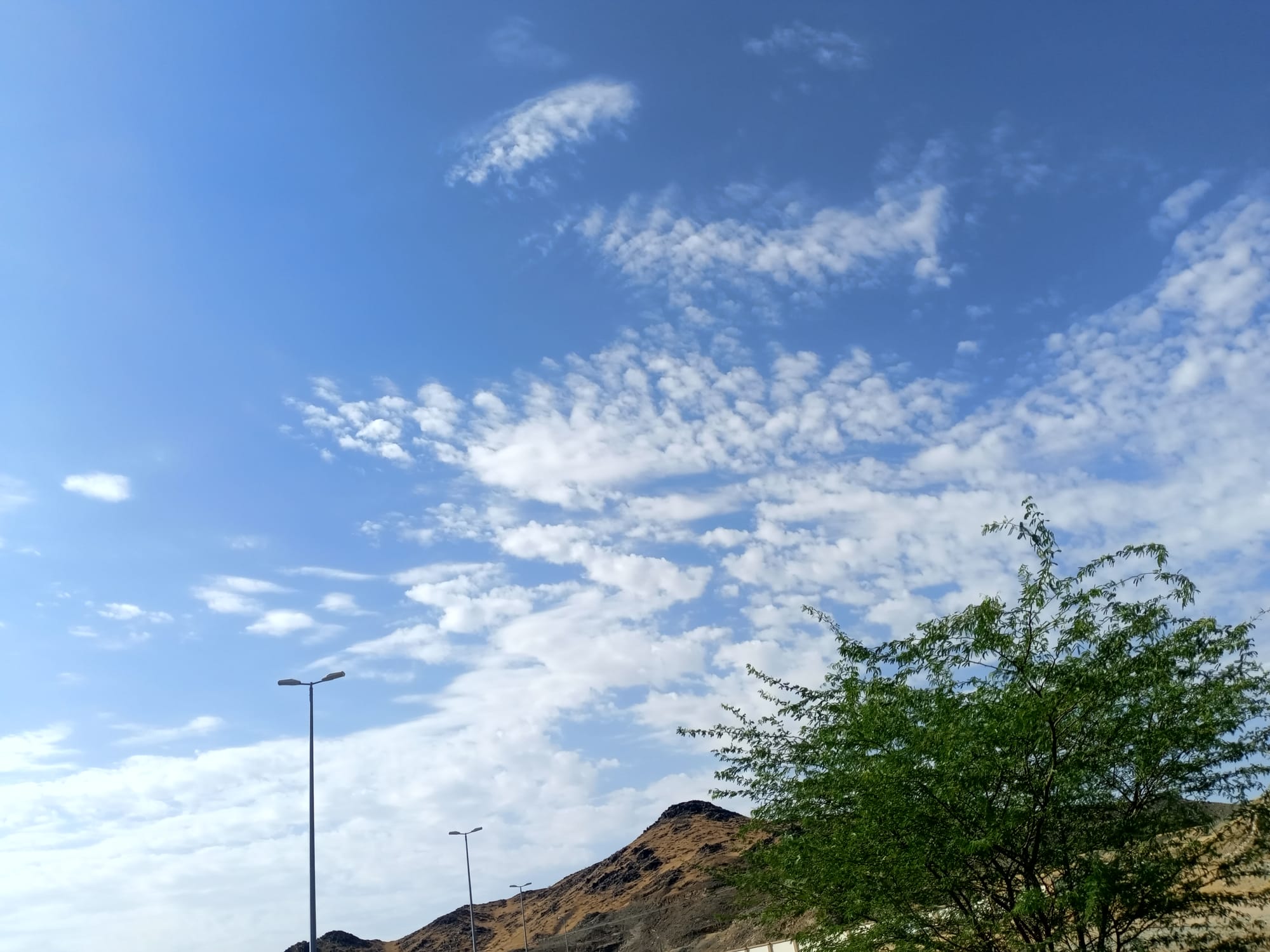 صور منتصف شهر أغسطس 2023