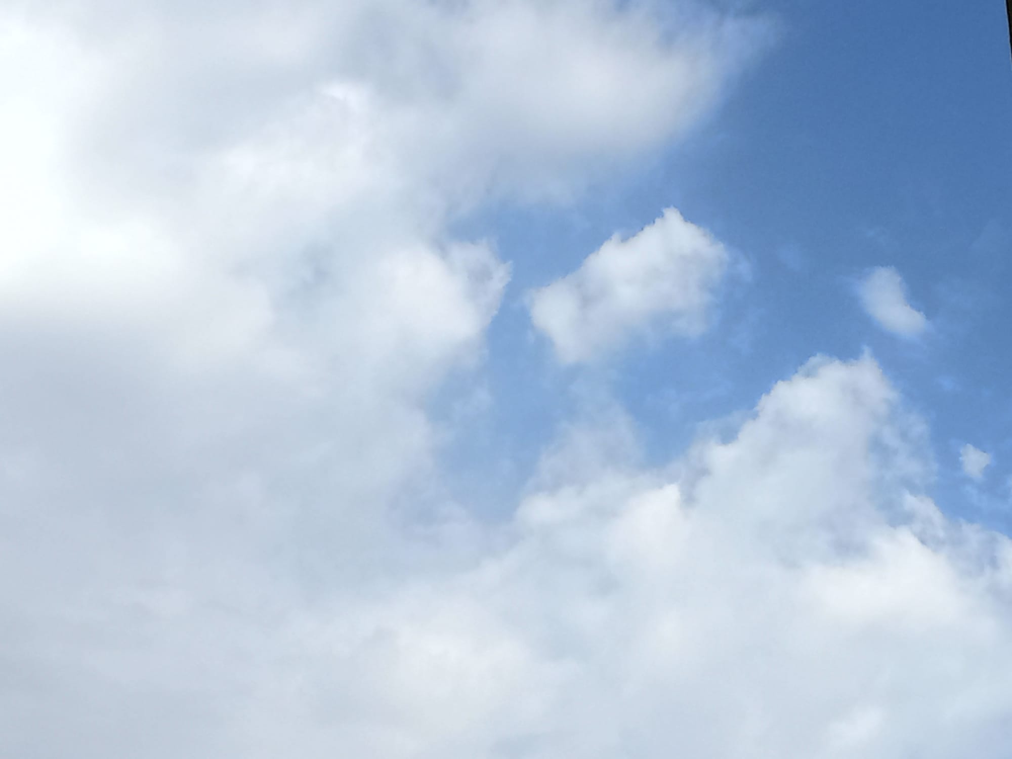 صور منتصف شهر أغسطس 2023