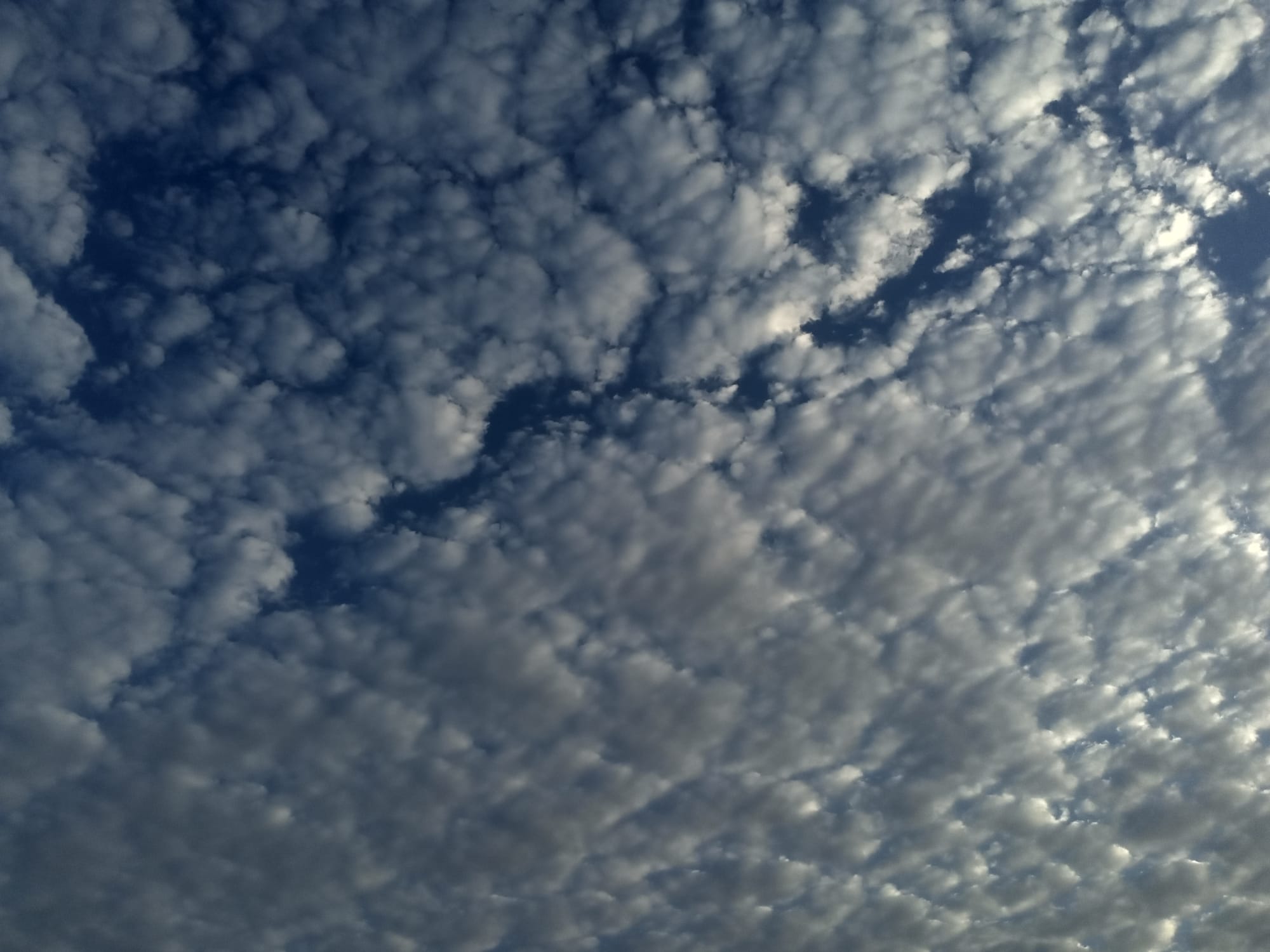 صور منتصف شهر أغسطس 2023