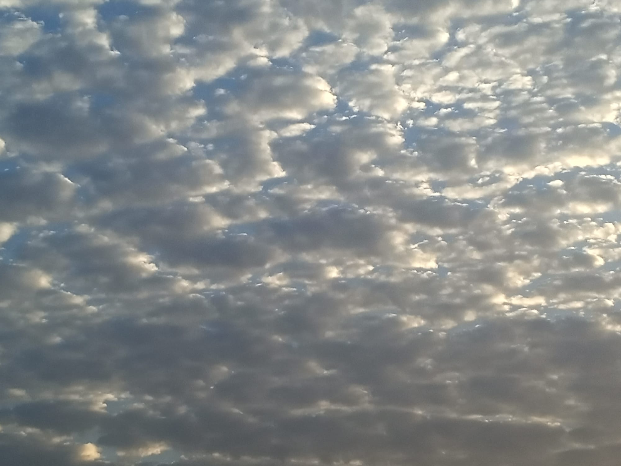 صور منتصف شهر أغسطس 2023