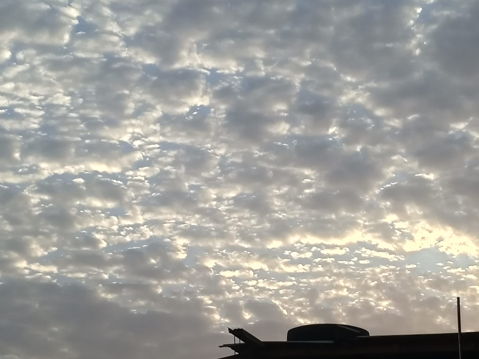 صور منتصف شهر أغسطس 2023