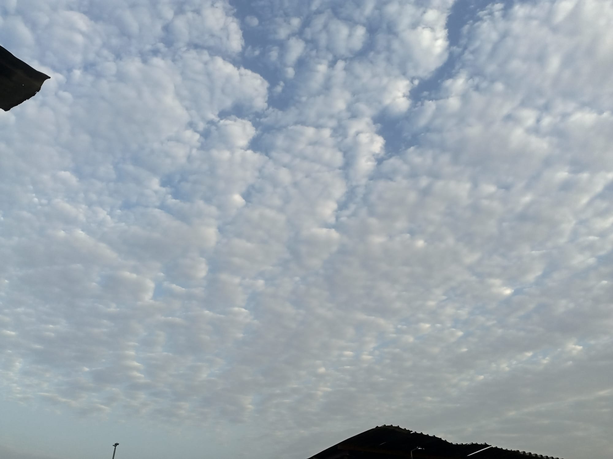 صور منتصف شهر أغسطس 2023
