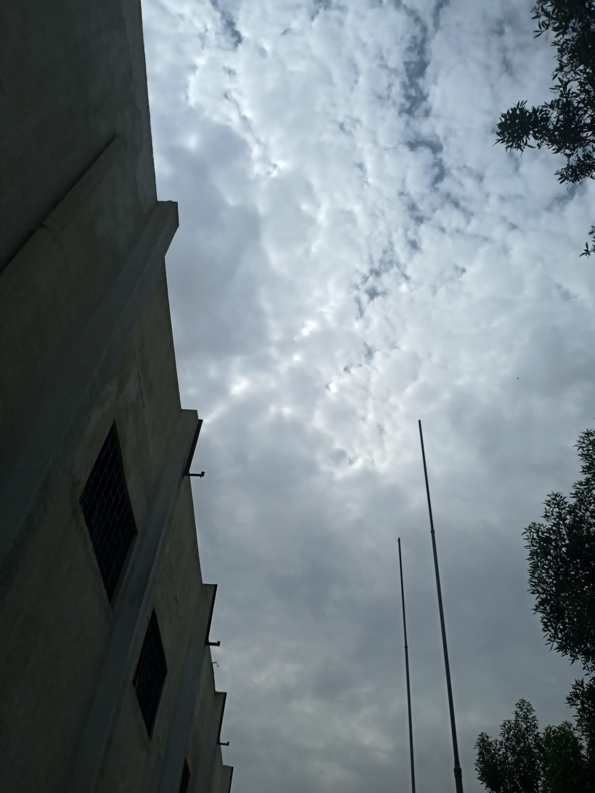 صور منتصف شهر أغسطس 2023