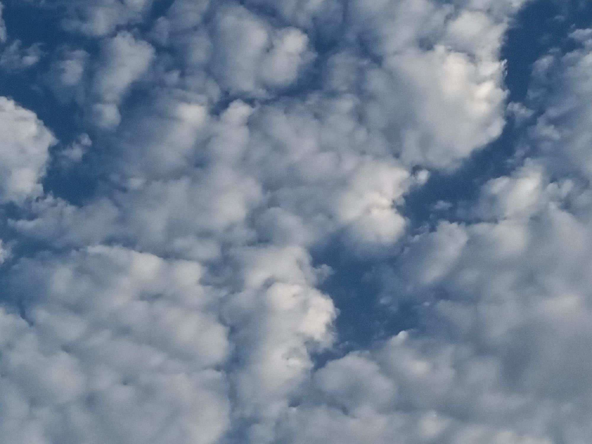 صور منتصف شهر أغسطس 2023