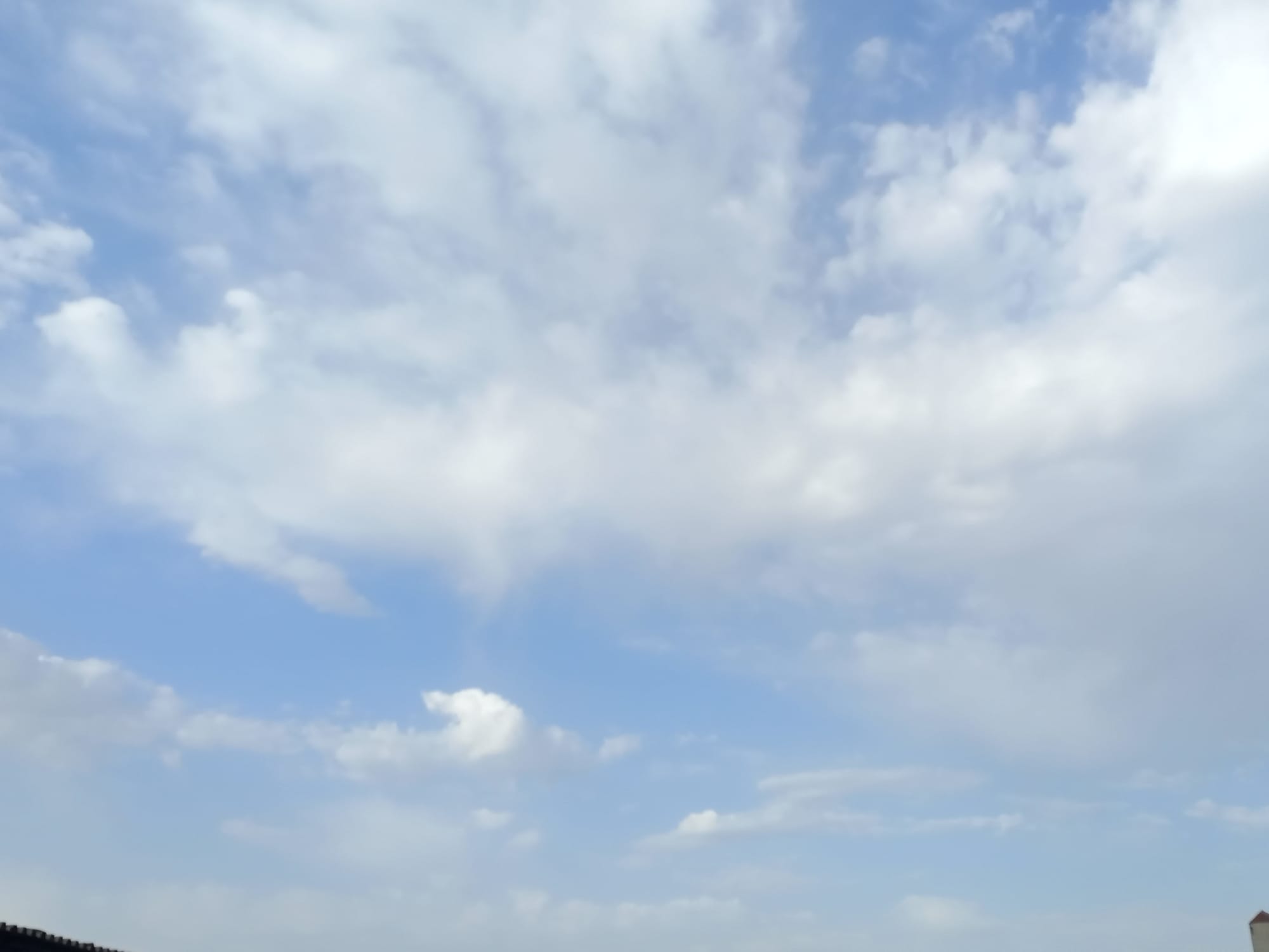 صور منتصف شهر أغسطس 2023