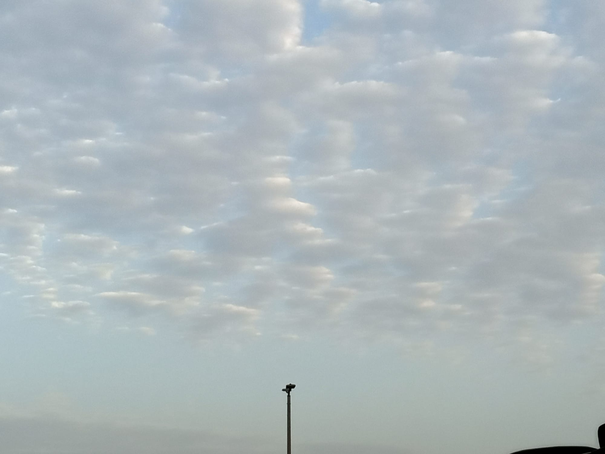 صور منتصف شهر أغسطس 2023