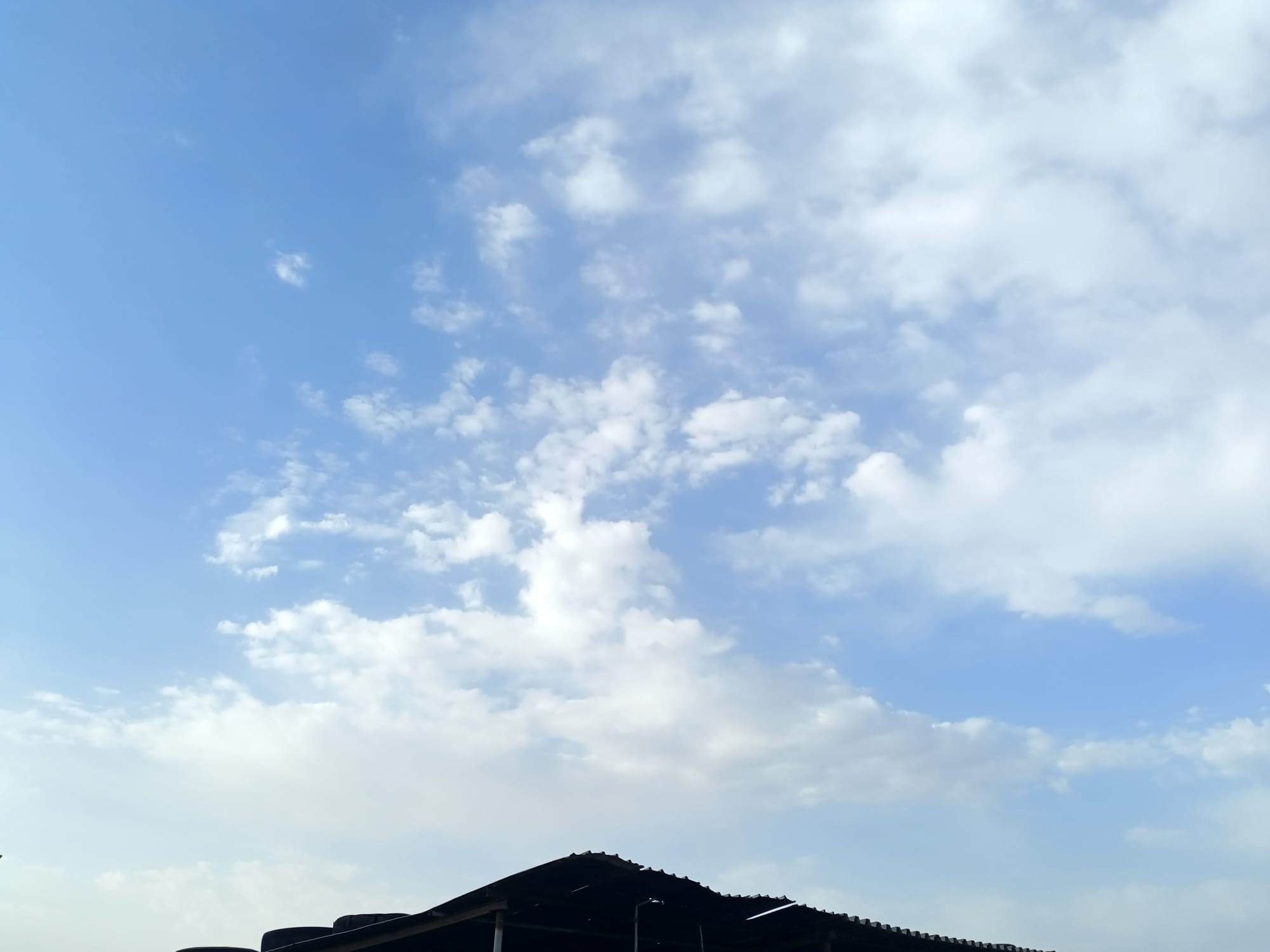 صور منتصف شهر أغسطس 2023