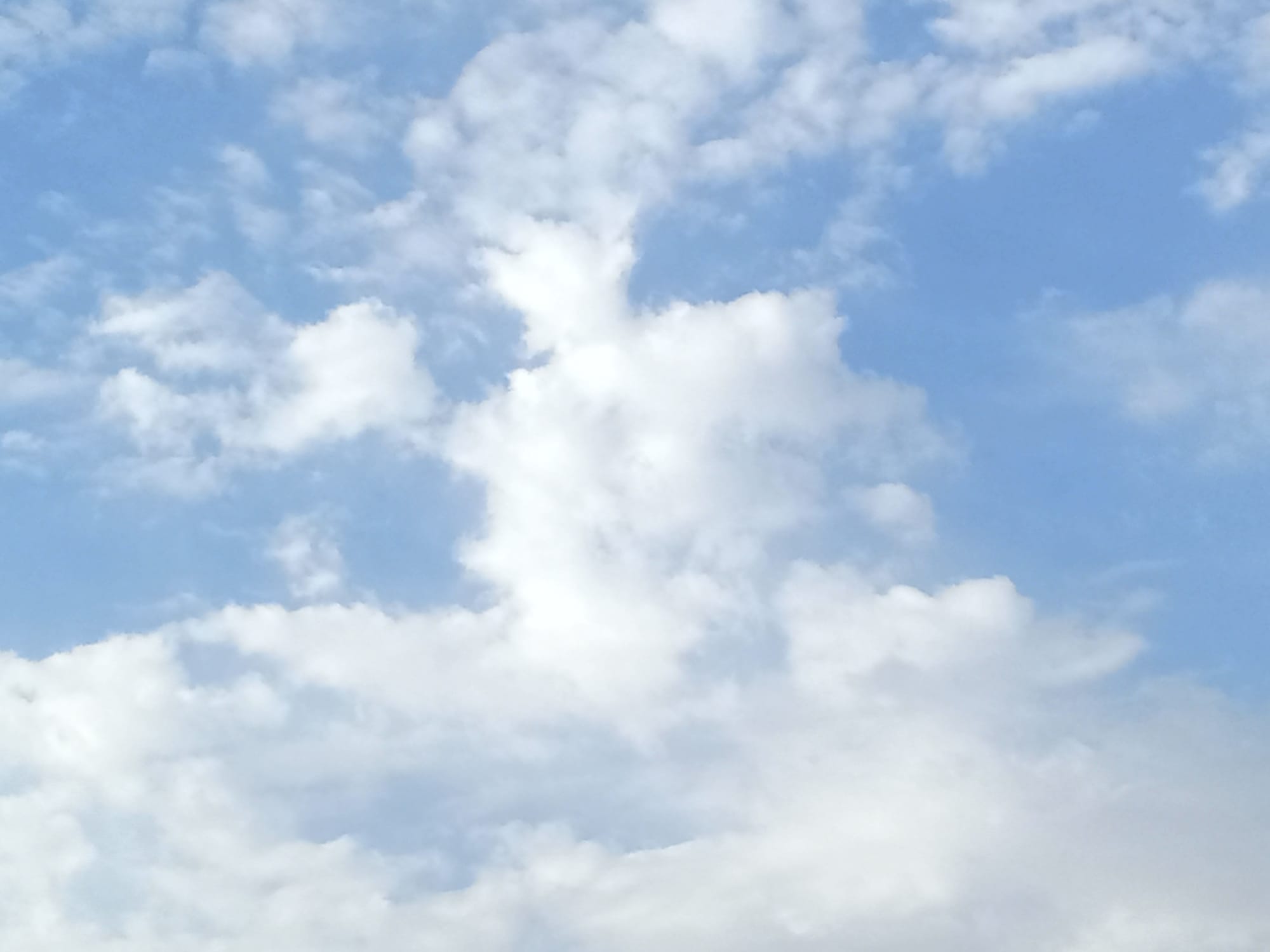 صور منتصف شهر أغسطس 2023
