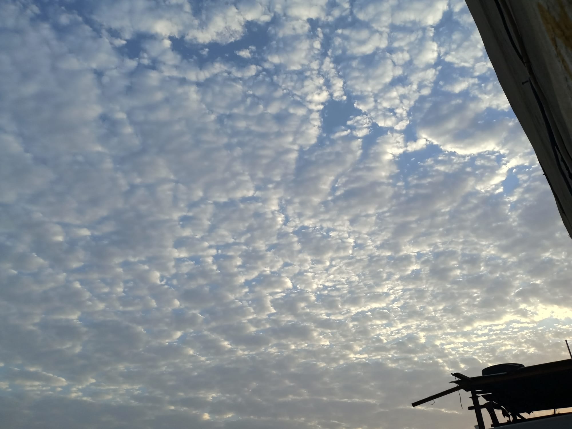 صور منتصف شهر أغسطس 2023