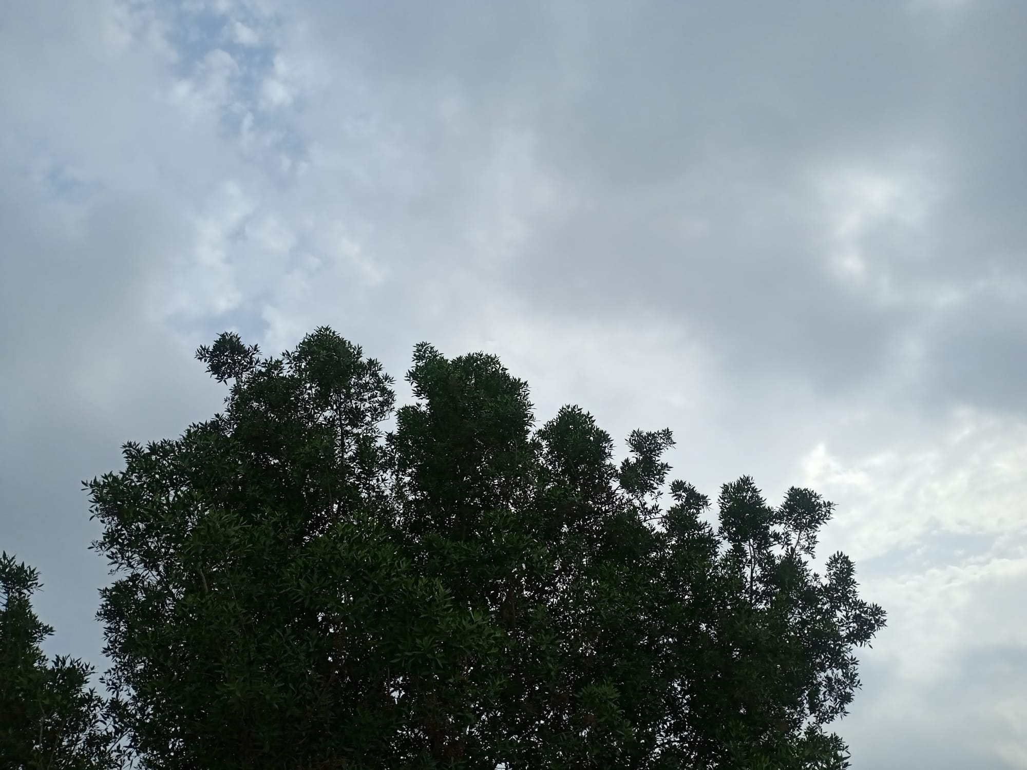 صور شهر أغسطس 2023