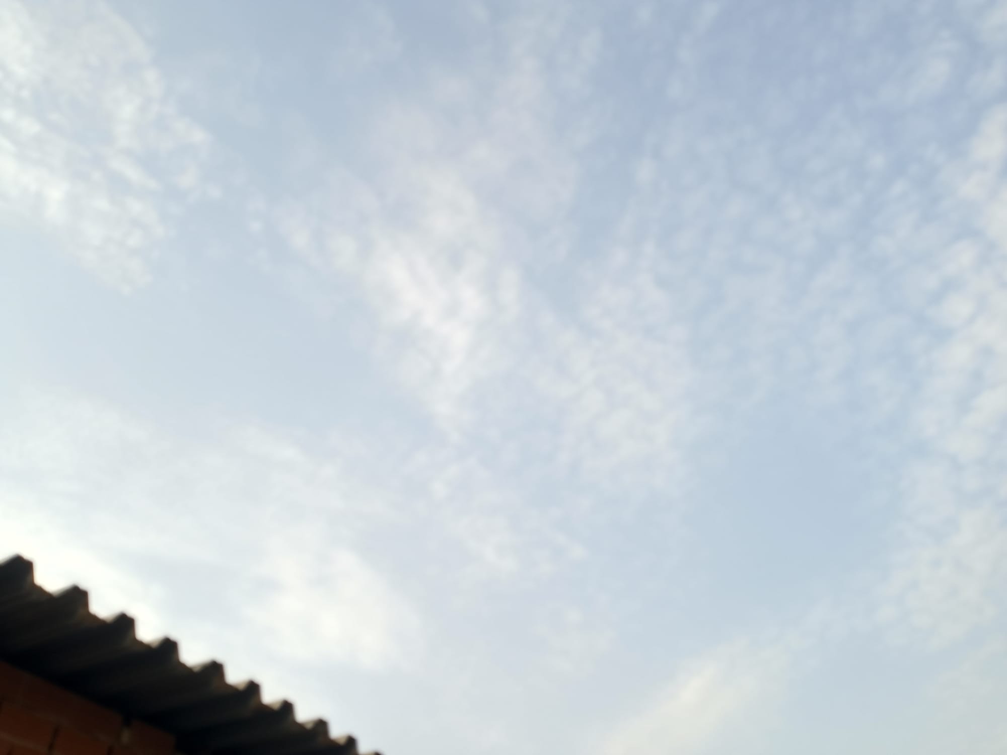 صور شهر أغسطس 2023