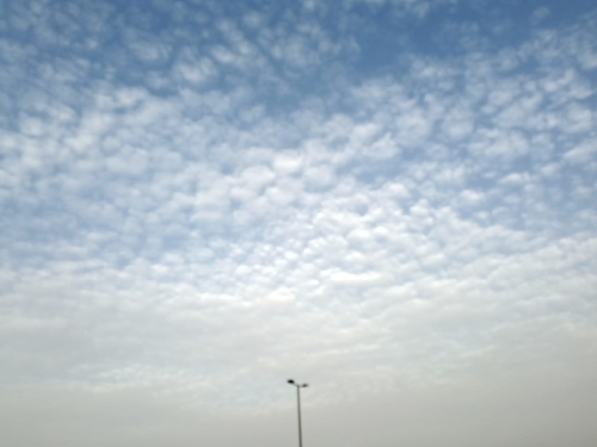 صور شهر أغسطس 2023