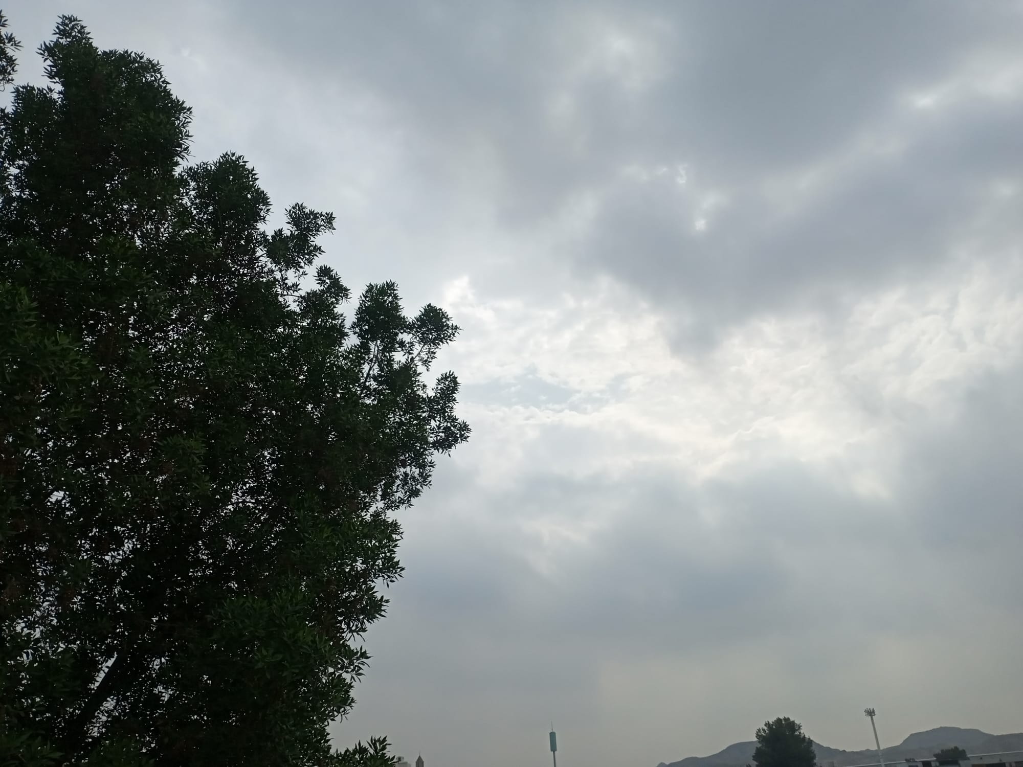 صور شهر أغسطس 2023