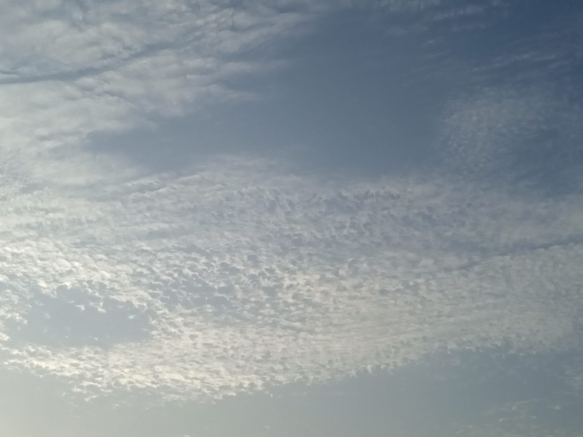 صور شهر أغسطس 2023