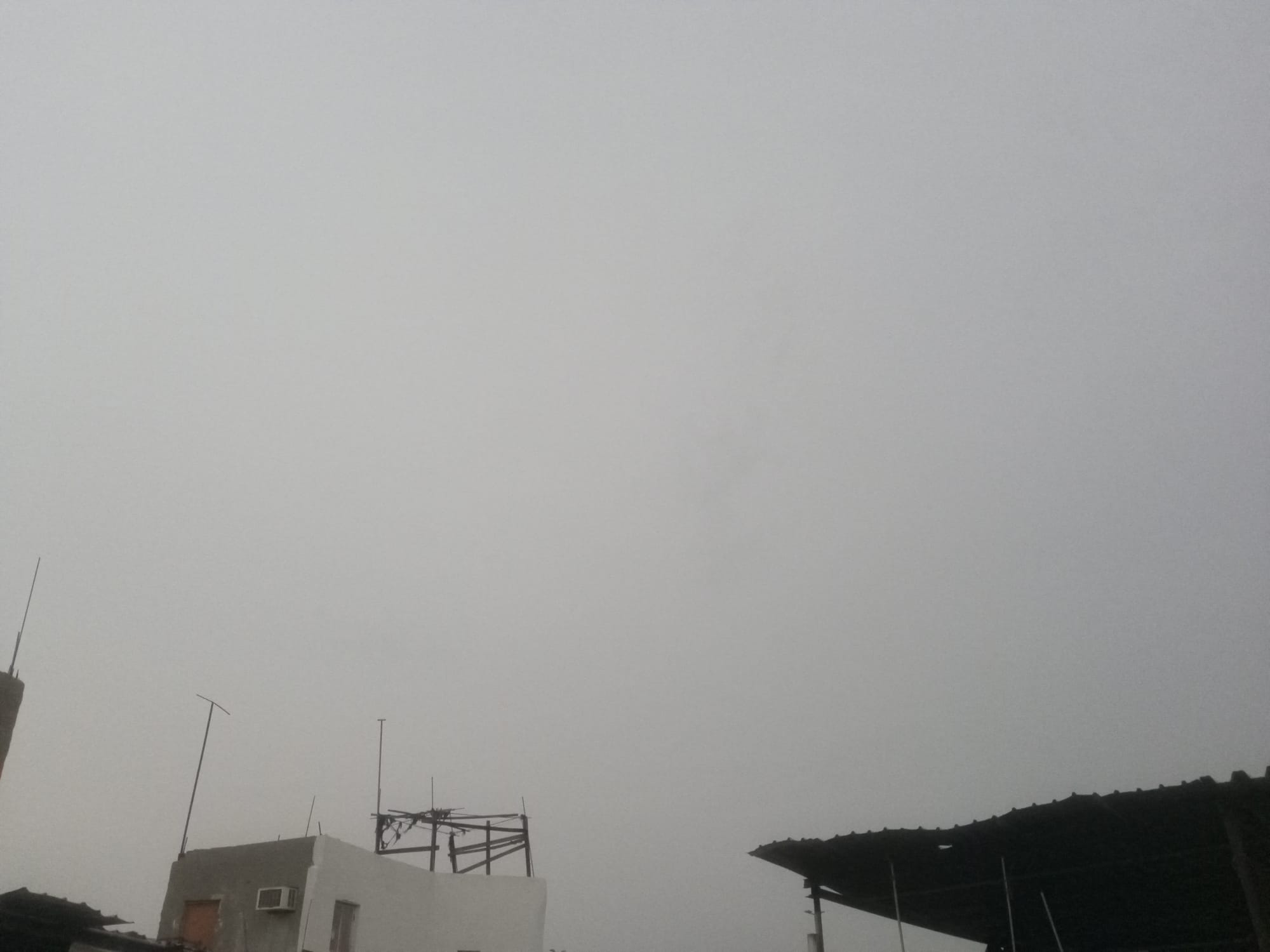 صور منتصف شهر أغسطس - صور مؤرشفة
