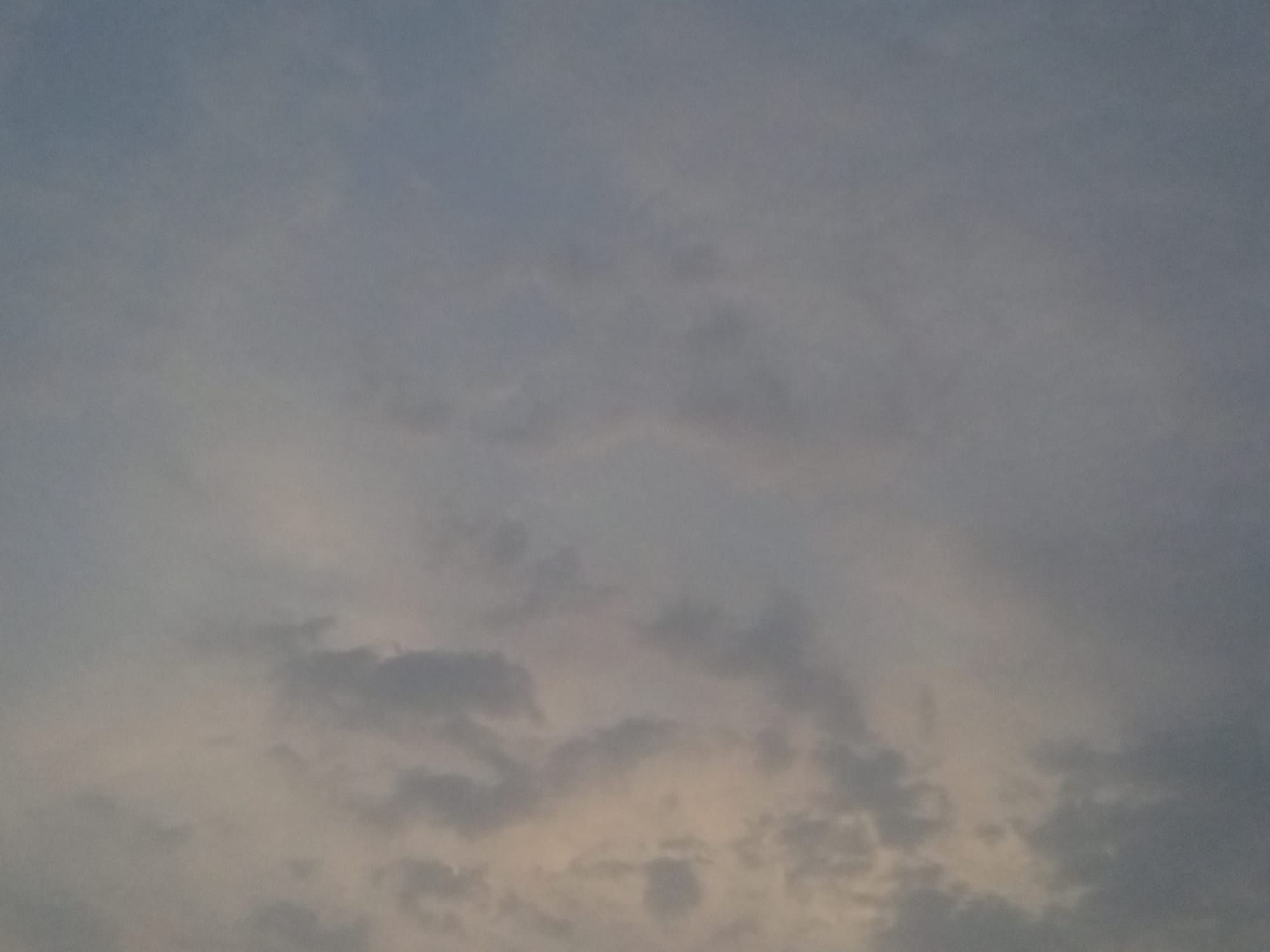 صور منتصف شهر أغسطس - صور مؤرشفة