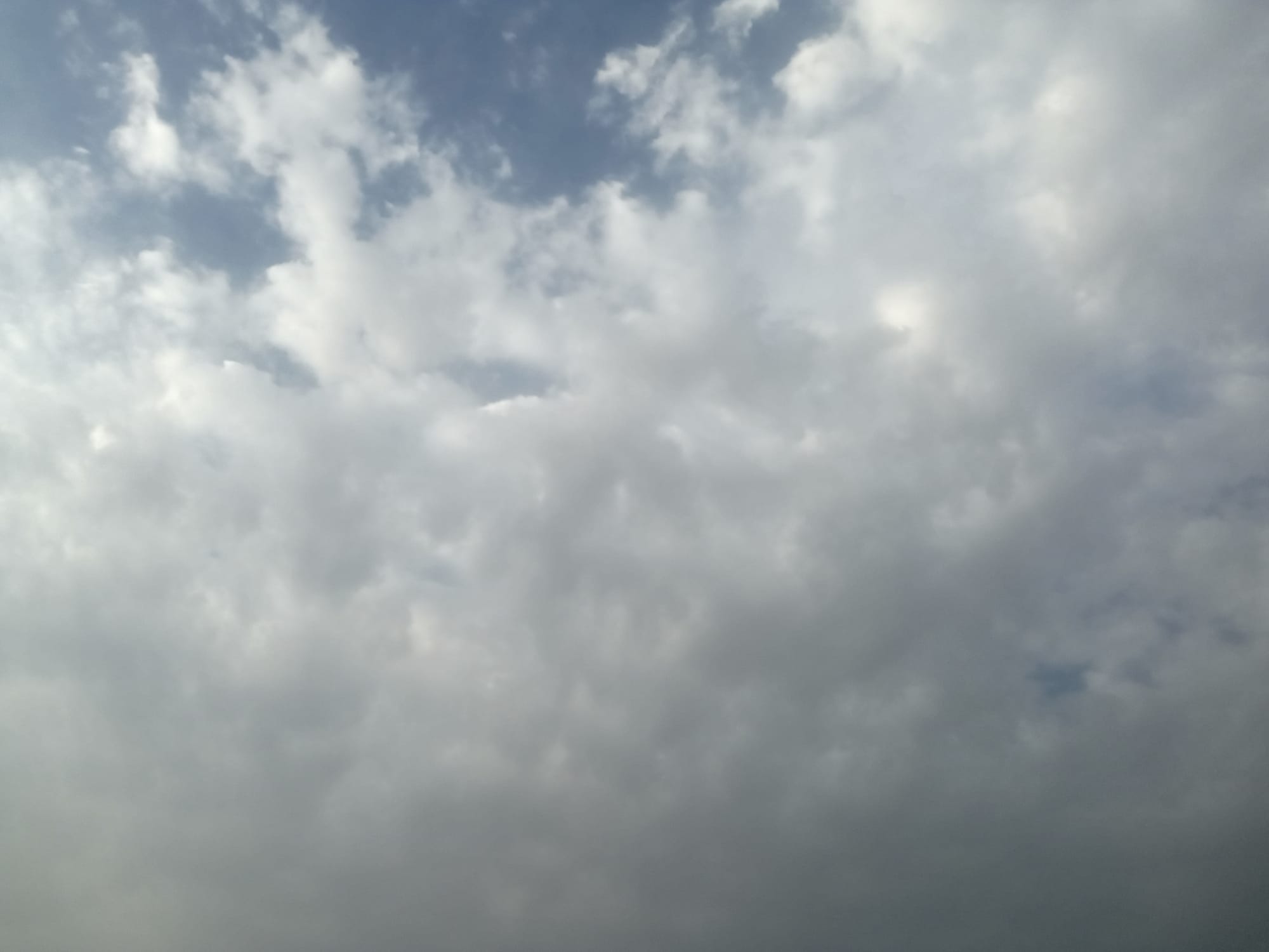 صور منتصف شهر أغسطس - صور مؤرشفة