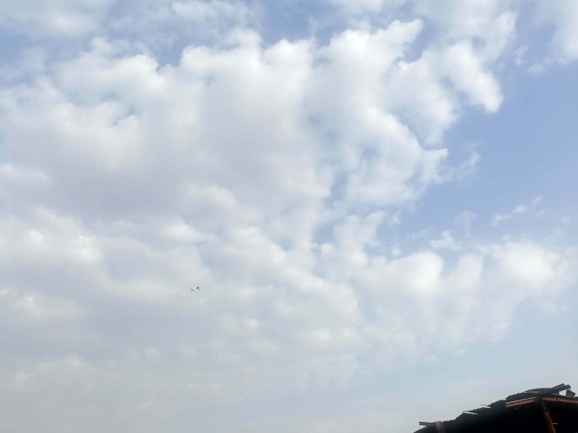 صور منتصف شهر أغسطس سنة 2023 - بداية الحالات الشرقية وتأثيرها على السواحل
