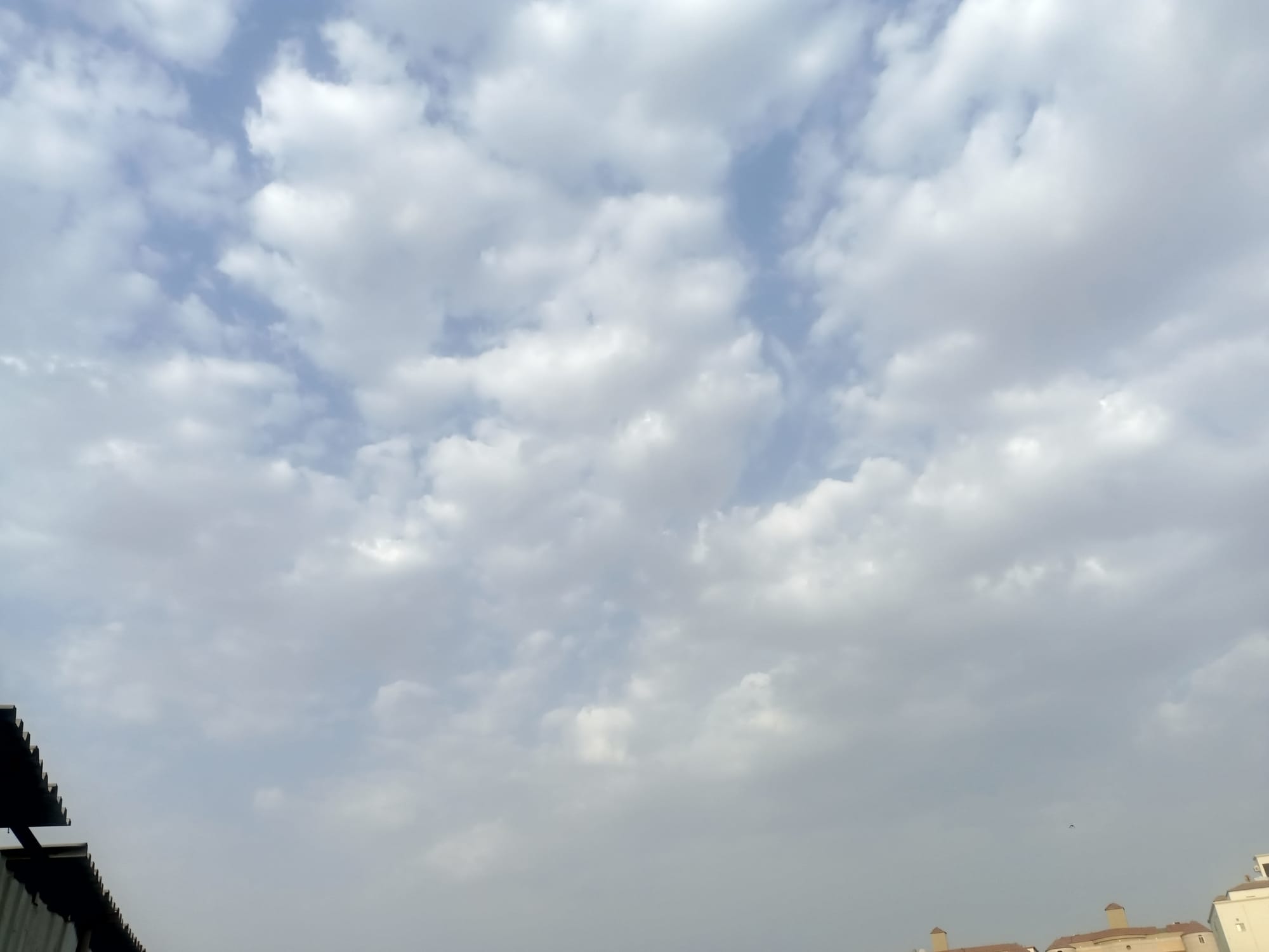صور منتصف شهر أغسطس سنة 2023 - بداية الحالات الشرقية وتأثيرها على السواحل