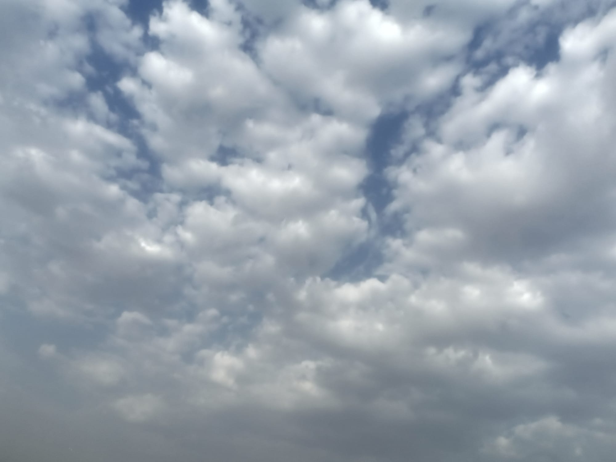 صور منتصف شهر أغسطس سنة 2023 - بداية الحالات الشرقية وتأثيرها على السواحل