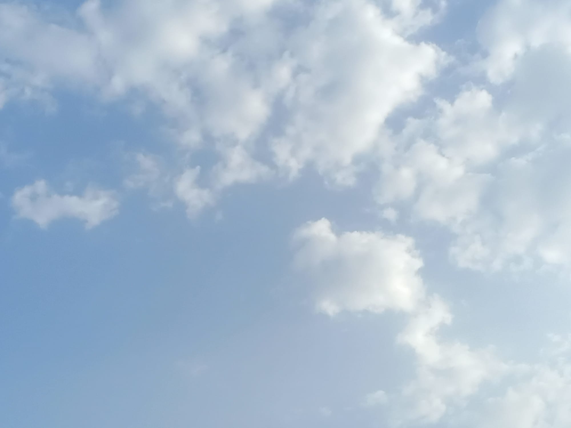 صور منتصف شهر أغسطس سنة 2023 - بداية الحالات الشرقية وتأثيرها على السواحل