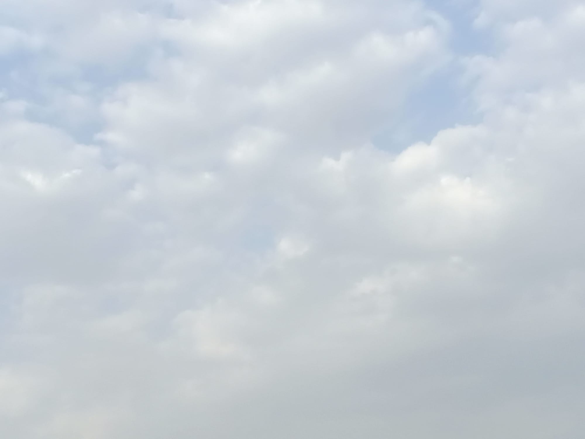 صور منتصف شهر أغسطس سنة 2023 - بداية الحالات الشرقية وتأثيرها على السواحل