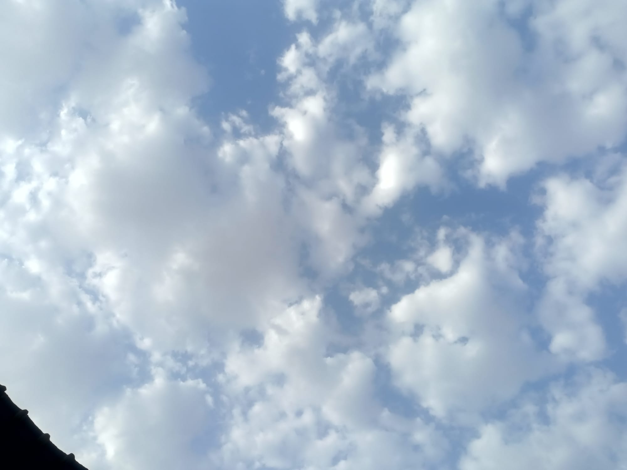 صور منتصف شهر أغسطس سنة 2023 - بداية الحالات الشرقية وتأثيرها على السواحل