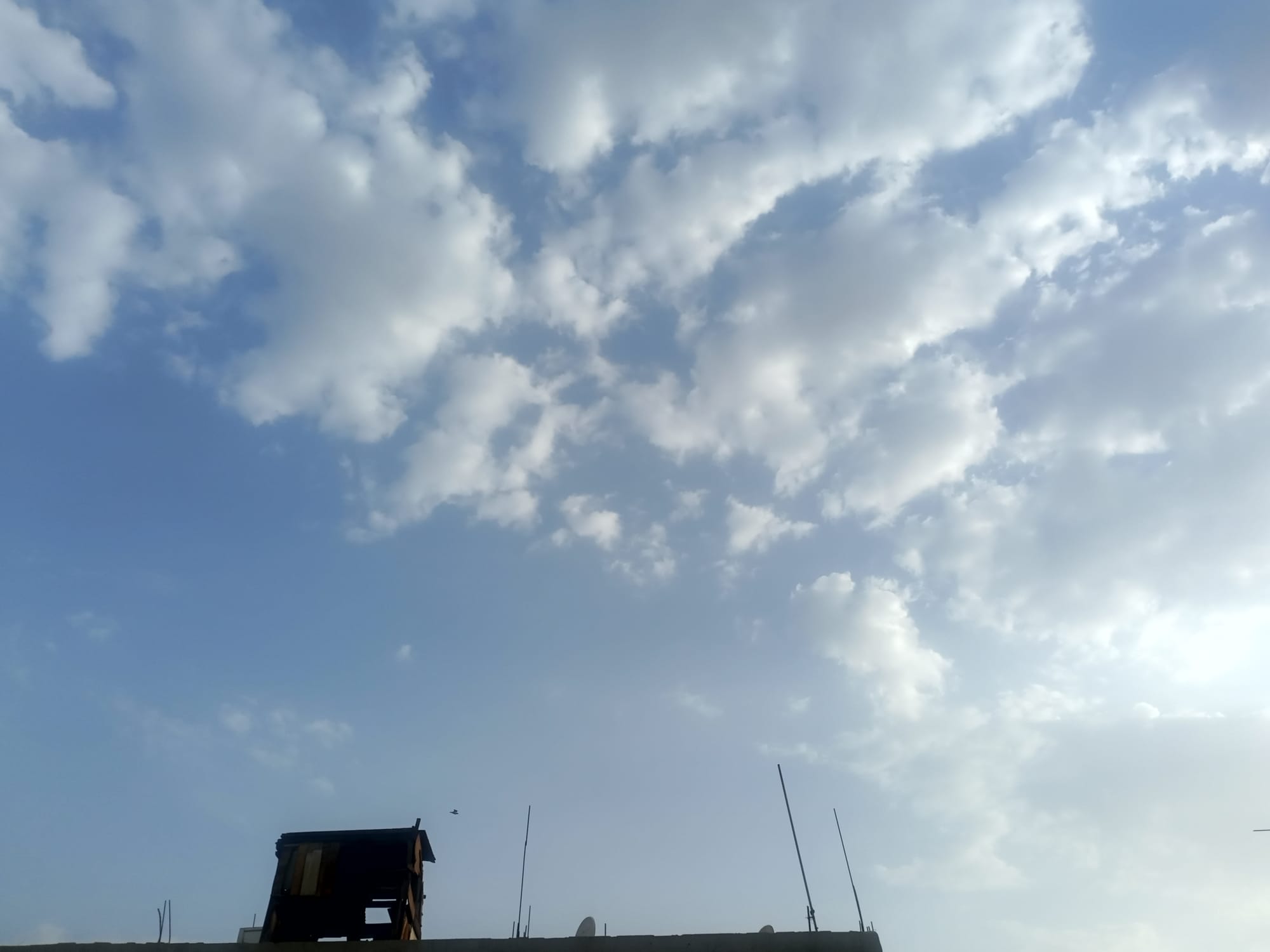 صور منتصف شهر أغسطس سنة 2023 - بداية الحالات الشرقية وتأثيرها على السواحل