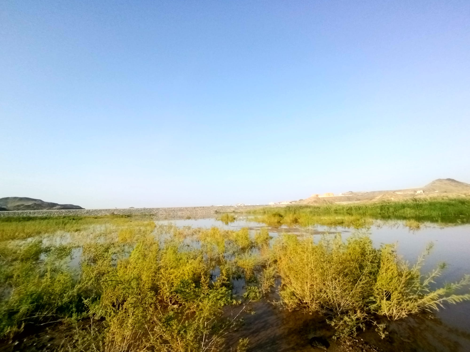 يوم الأربعاء 15 نوفمبر سنة2023