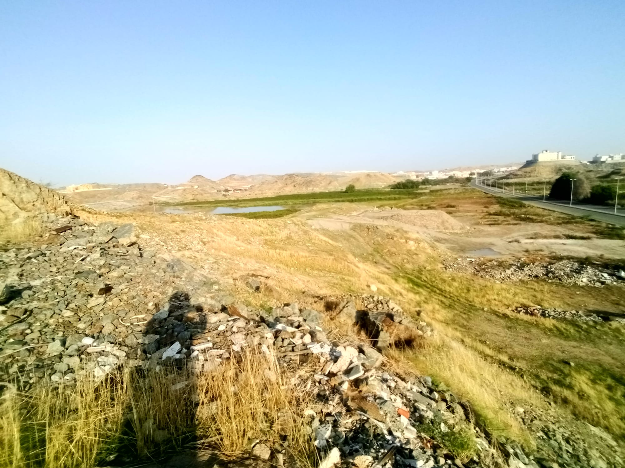 يوم الأربعاء 15 نوفمبر سنة2023