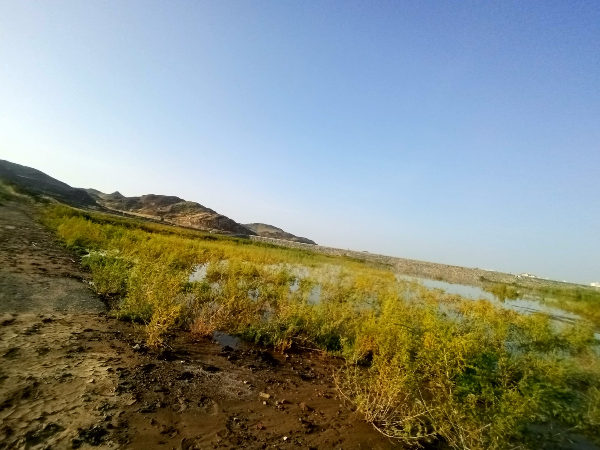 يوم الأربعاء 15 نوفمبر سنة2023